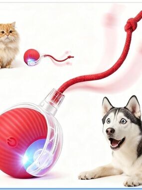Automatic Rolling Pet Ball
Interactive Rechargeable Dog Cat Toy Red